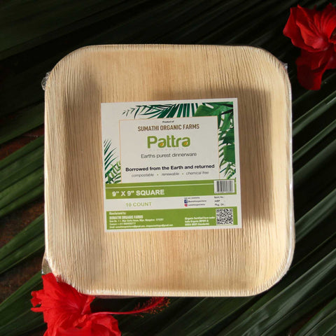 Areca palm leaf plate - 9 inch square